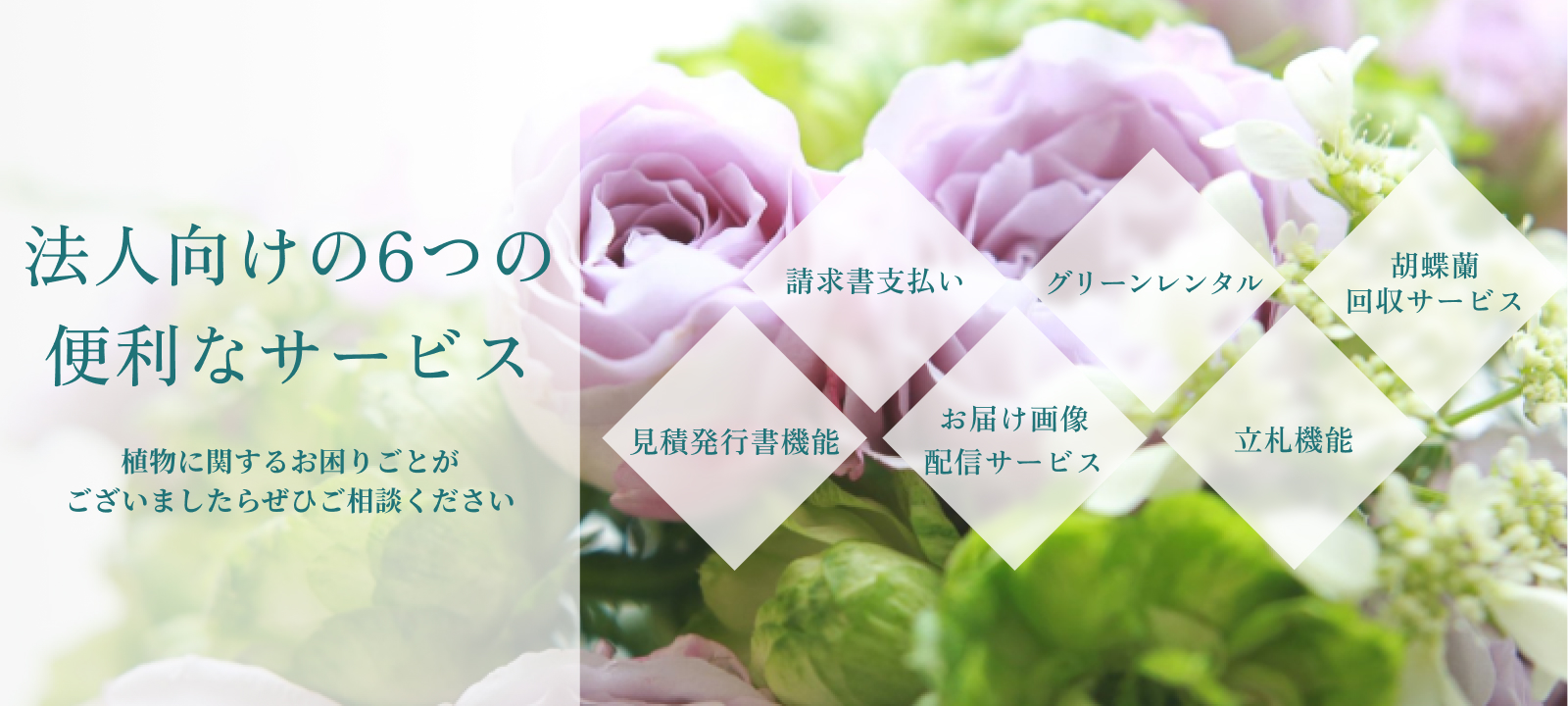 hanahana様 リクエスト 6点 まとめ商品 KNHh様 リクエスト 2点 まとめ商品
